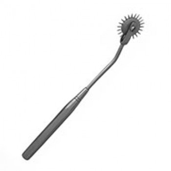 PROFESSIONAL PIN WHEEL