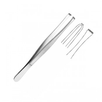 LERCHE TISSUE FCPS, 5X6 TEETH 15CM