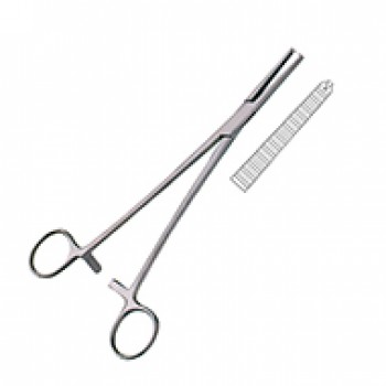 PHANEUF PERITONEAL CLAMP FCPS, 1X2TEETH, STR 21.5CM