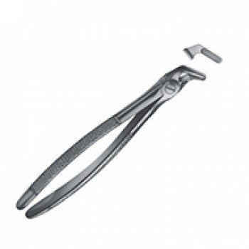 Extracting Forceps - English Pattern Fig 8 lower premolars