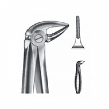 Extracting Forceps - English Pattern Fig 33 L lower roots