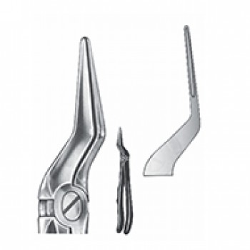 Relax” -E xtracting Forceps Fig 51L