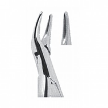 Extracting Forceps - American Pattern Upper and lower roots