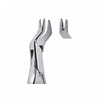 Extracting Forceps - American Pattern Upper molars, right