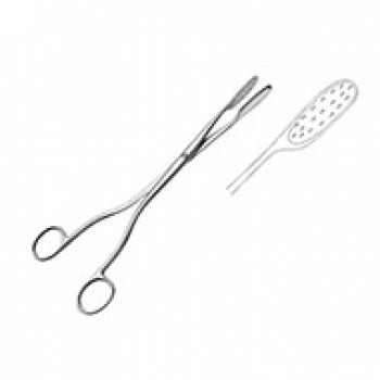 LEWKOWITZ PLACENTA AND OVUM FCPS, STR 24CM